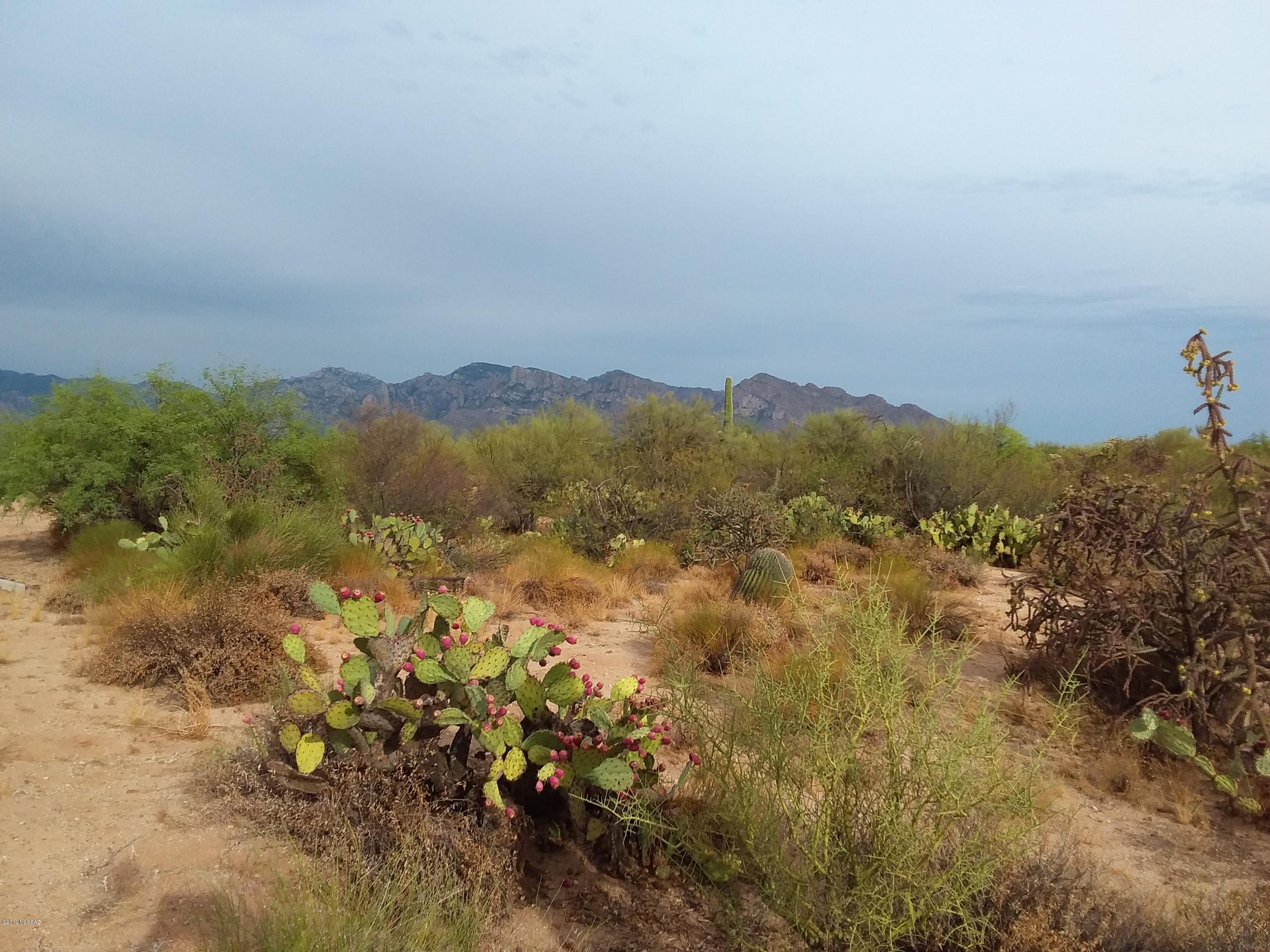 2315 West Tangerine Road Tucson, AZ 85742 - Photo 14 of 27