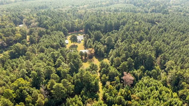 a view of a house with a lush green forest