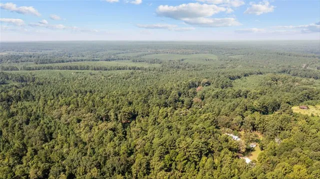 a view of a field of grass and trees