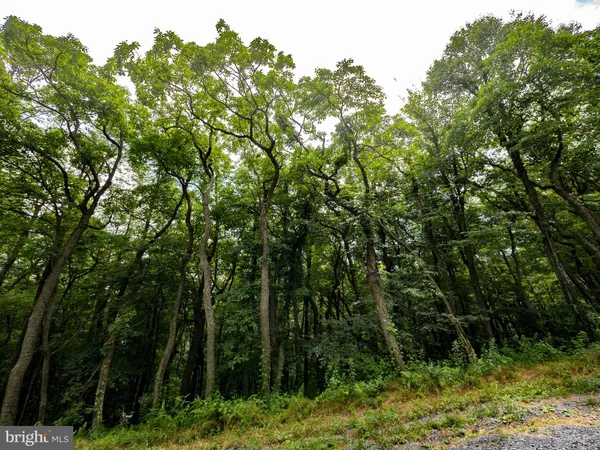 $69,990 | 182-183 184 Rockwood Trail, Winchester, VA 22602