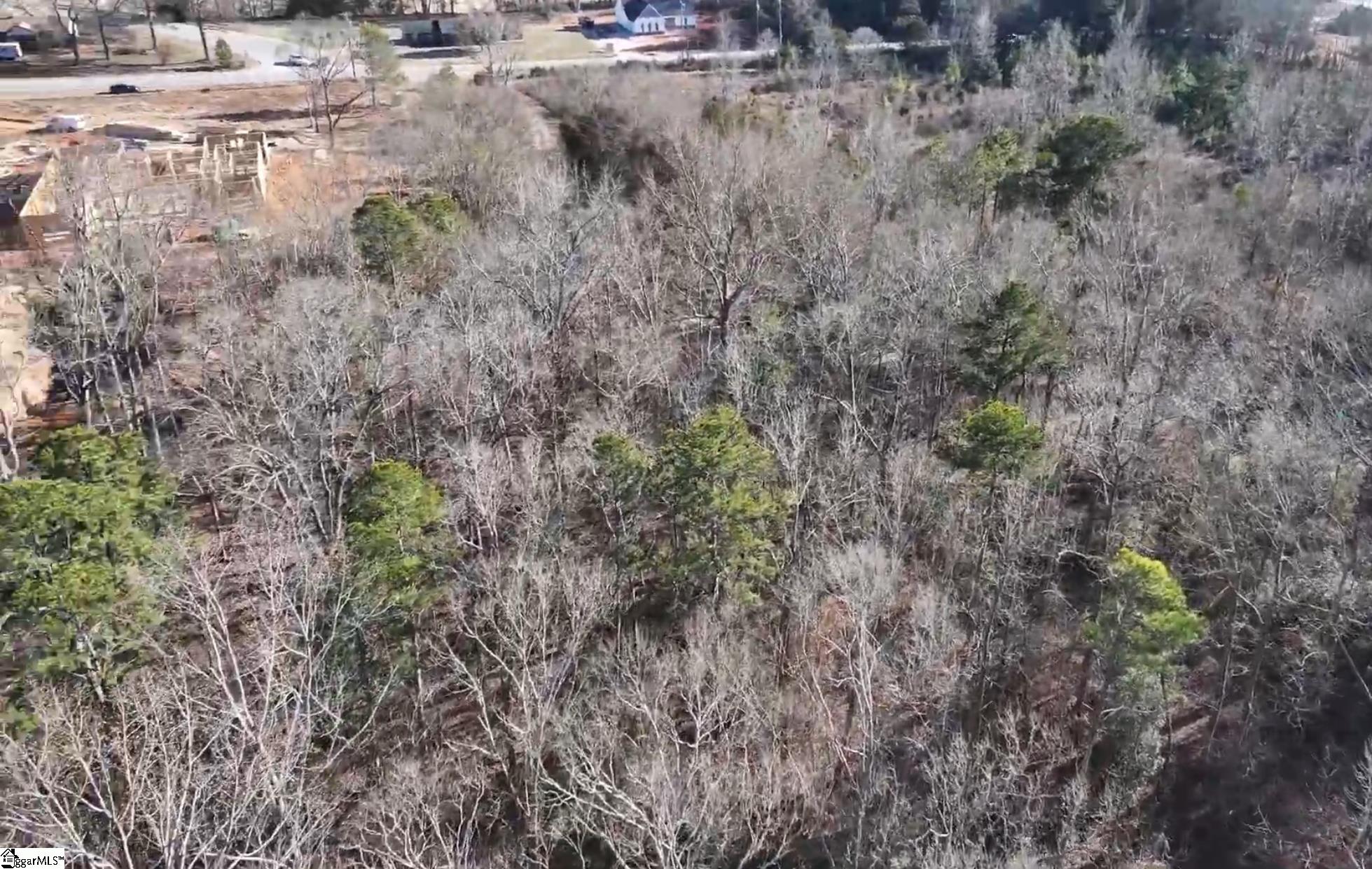 Log Shoals Road Greenville, SC 29607 - Photo 11 of 13