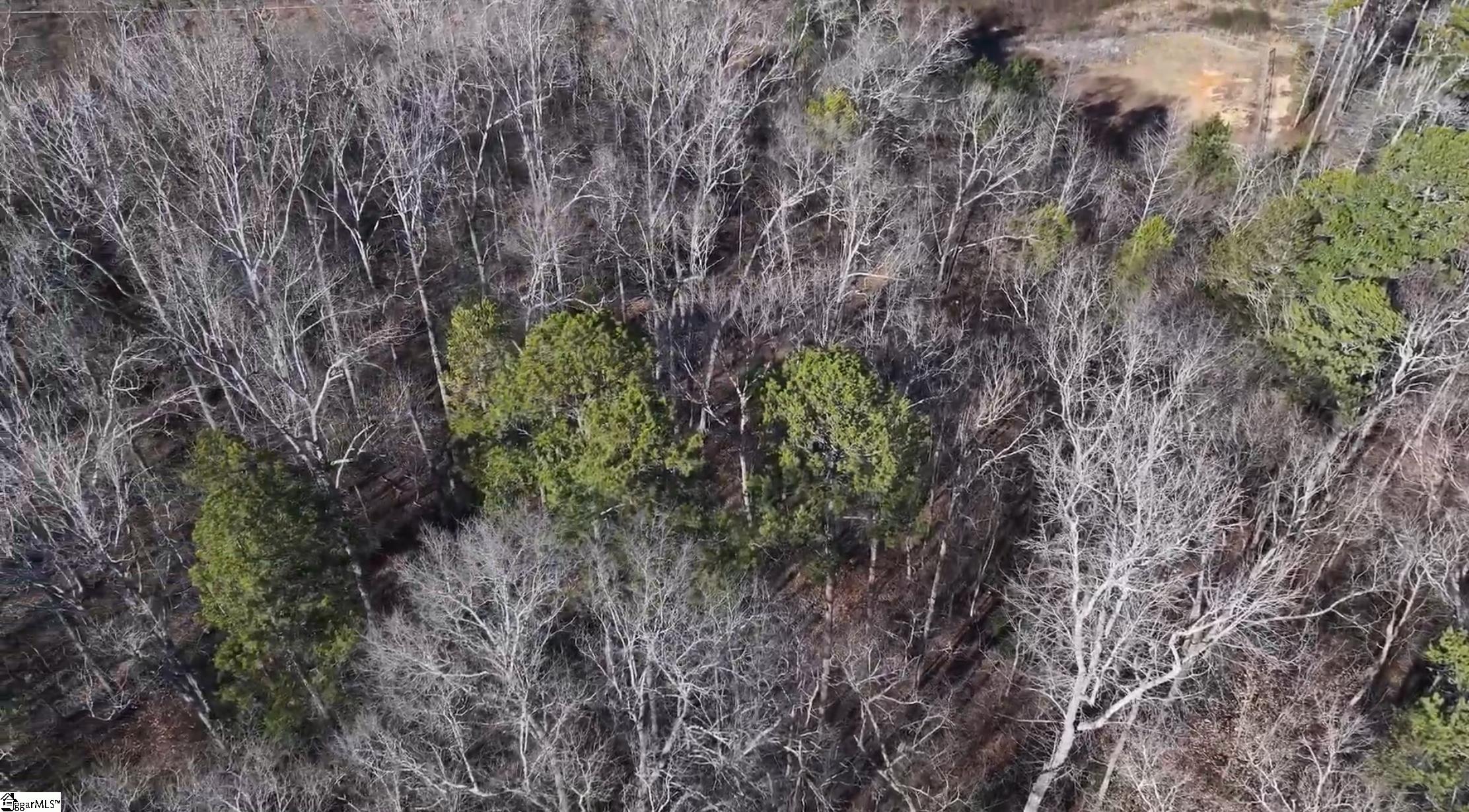 Log Shoals Road Greenville, SC 29607 - Photo 8 of 13