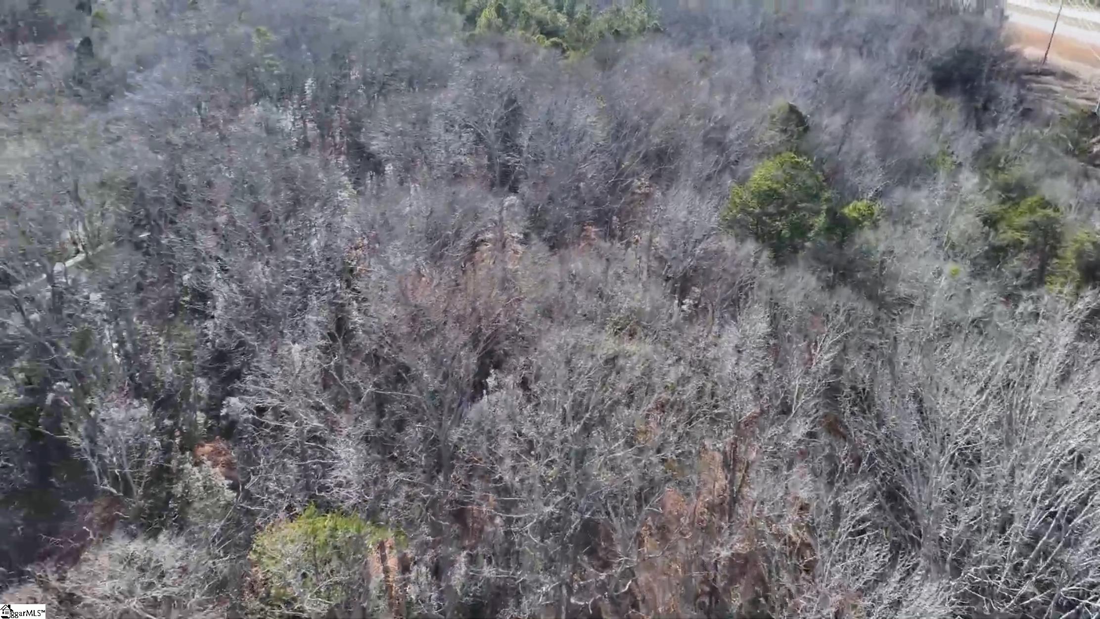 Log Shoals Road Greenville, SC 29607 - Photo 10 of 13