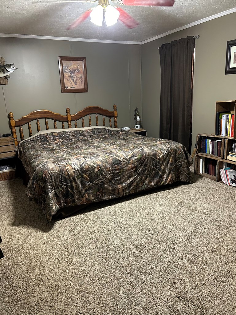 1164 Lake Frankie Road Samson, AL 36477 - Photo 31 of 36