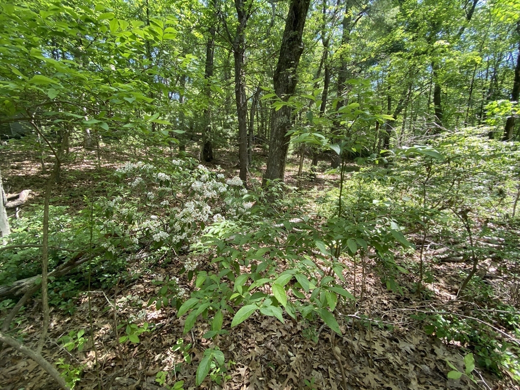 91 Burbank Road Sutton, MA 01590 - Photo 4 of 16