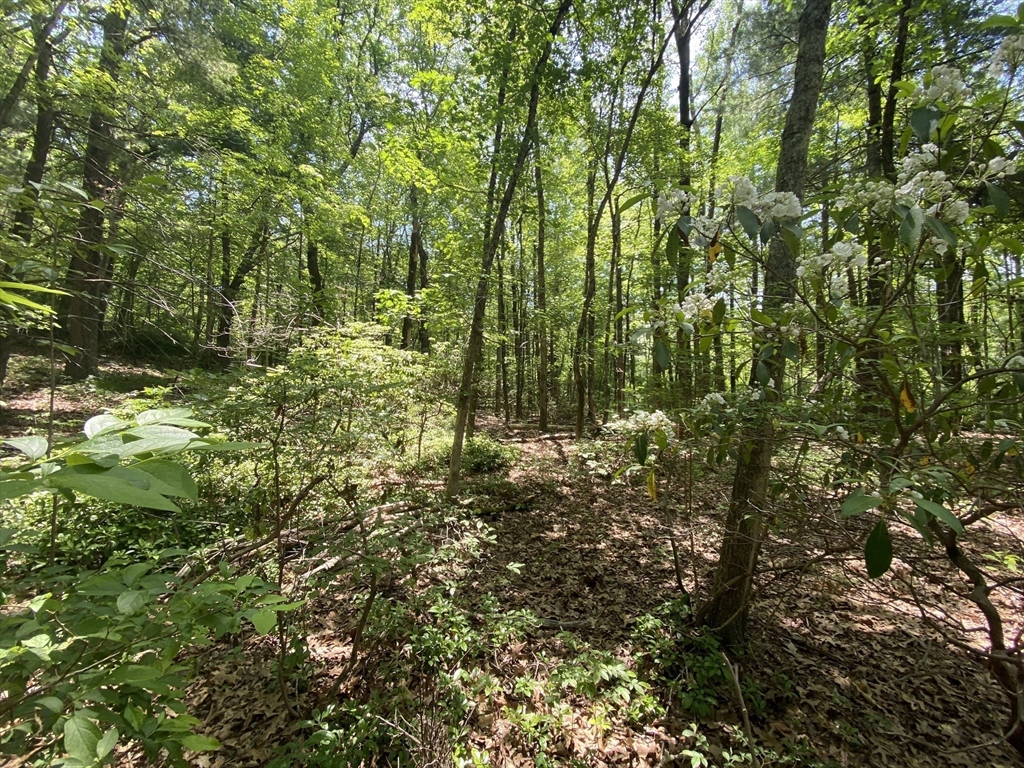 91 Burbank Road Sutton, MA 01590 - Photo 6 of 16