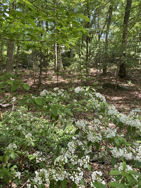 91 Burbank Road Sutton, MA 01590 - Photo 10 of 16