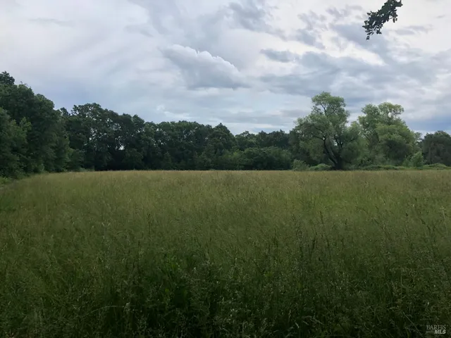 a view of a field with an ocean
