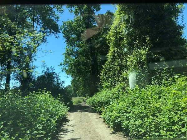 a view of a garden with a building