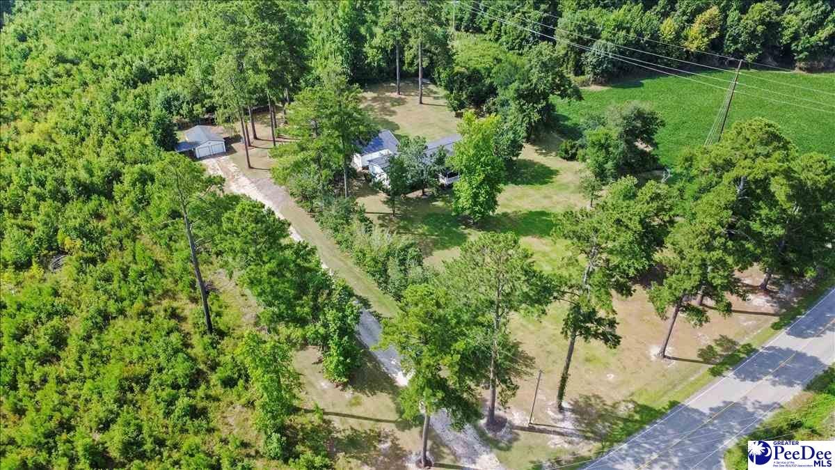 41 New Zion Road Lake City, SC 29560 - Photo 45 of 48 Gallery Image 45