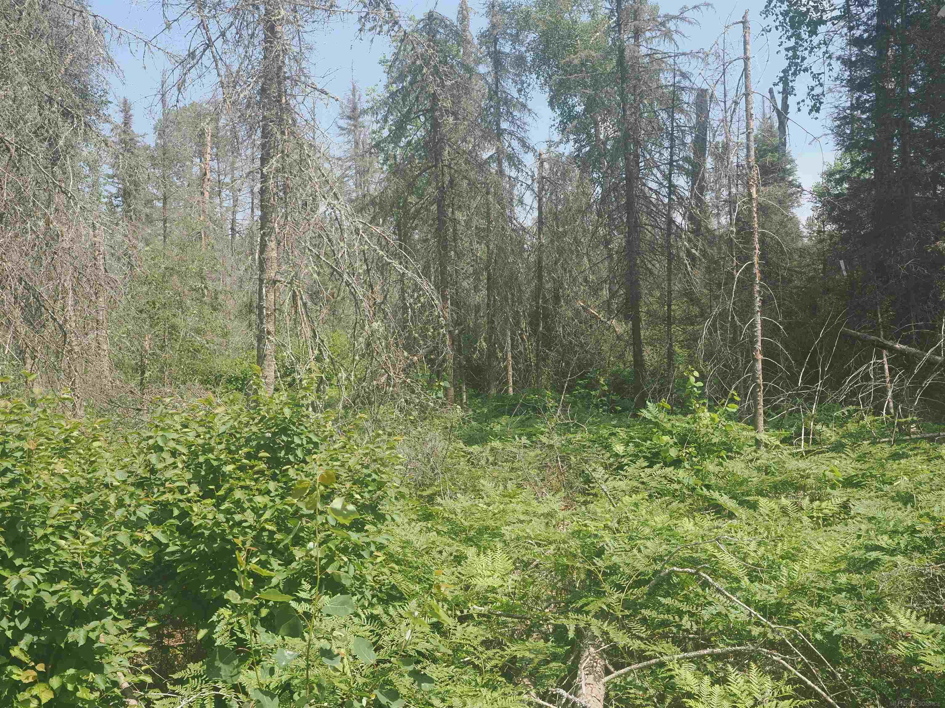 0 County Road Ishpeming, MI 49849 - Photo 81 of 85