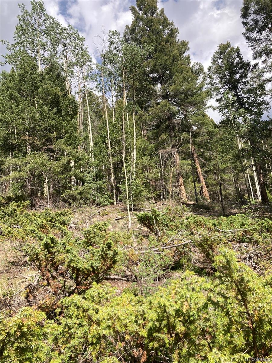 Lot 6461 Jacquez Road San Luis, CO 81152 - Photo 10 of 22