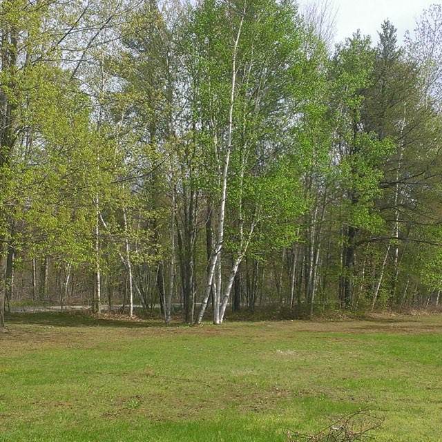 5702 Richardson Road Pinconning, MI 48650 - Photo 30 of 33 Gallery Image 30