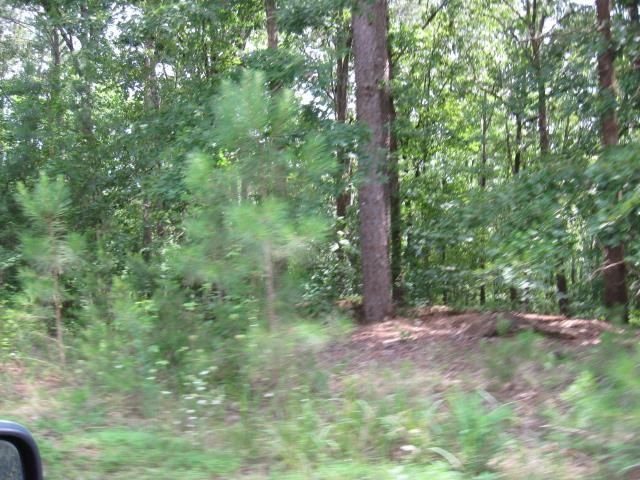 291 Mcgee Road Ramer, TN 37367 - Photo 5 of 9 a view of backyard with green space
