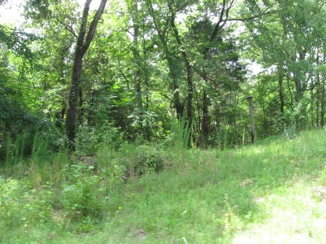 291 Mcgee Road Ramer, TN 37367 - Photo 6 of 9 a view of a lush green space