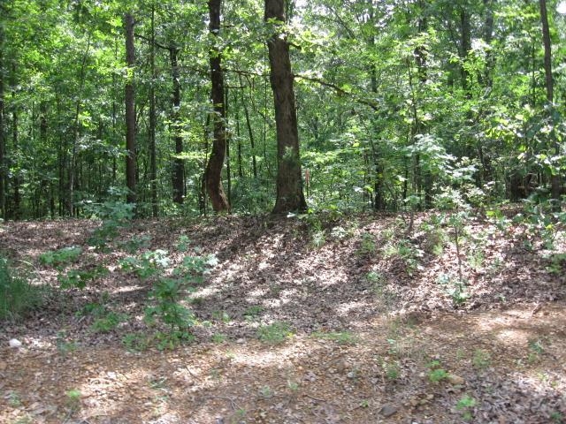 291 Mcgee Road Ramer, TN 37367 - Photo 8 of 9 a view of outdoor space and green space
