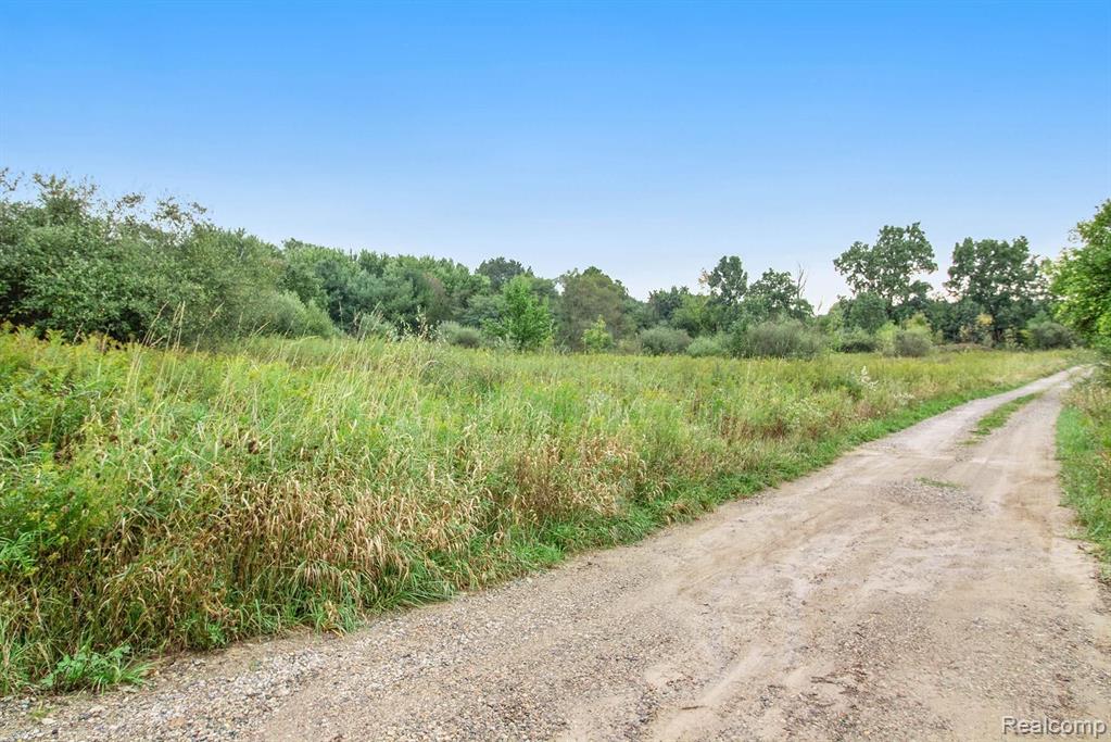 Vac Rattalee Lake Road Davisburg, MI 48350 - Photo 20 of 22