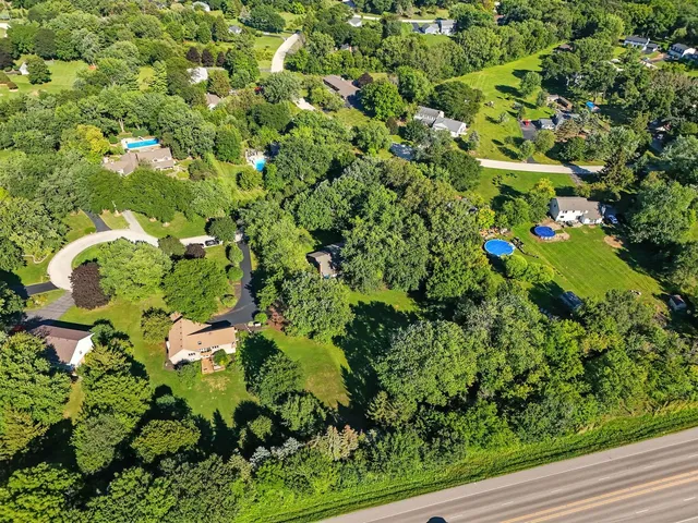 a picture of flowers