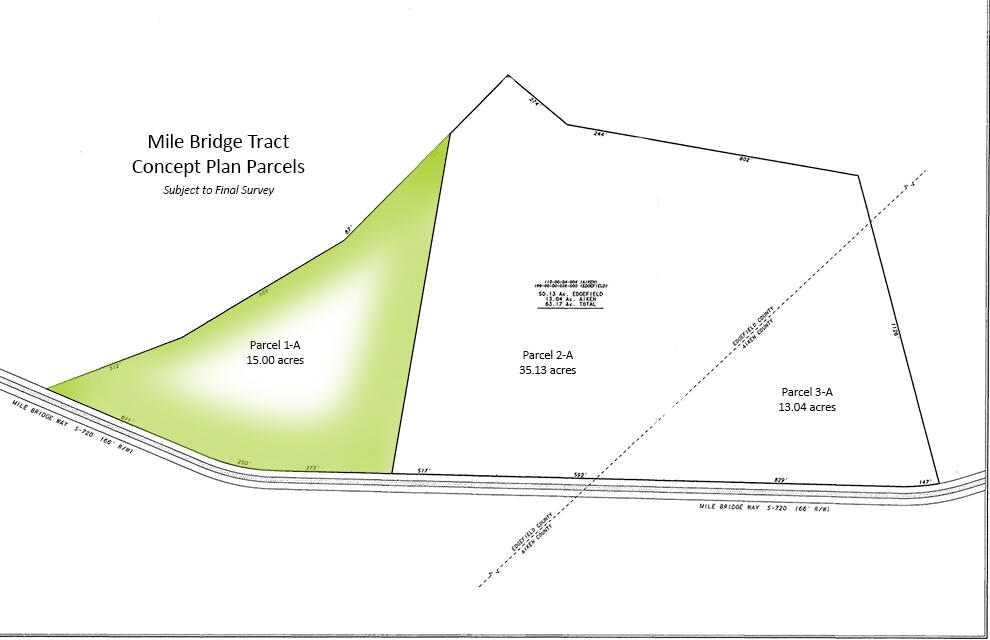 1 A Mile Bridge Way Ridge Spring, SC 29129 - Photo 2 of 5