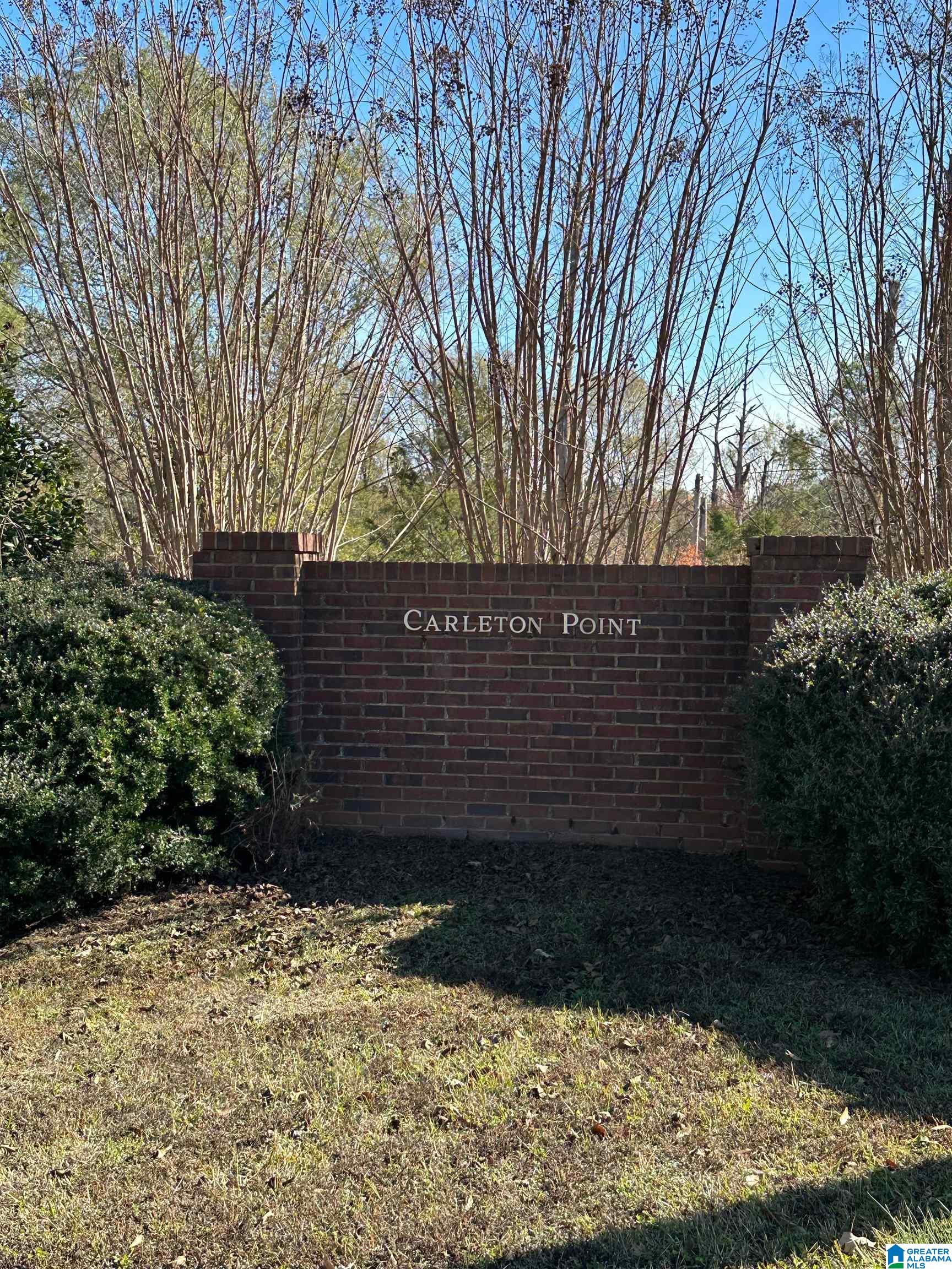 Lot 5 Carleton Point, Unit 5 Wilsonville, AL 35186 - Photo 2 of 12