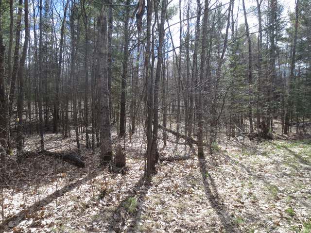 On Cedar Lane Rhinelander, WI 54501 - Photo 14 of 17 Gallery Image 14
