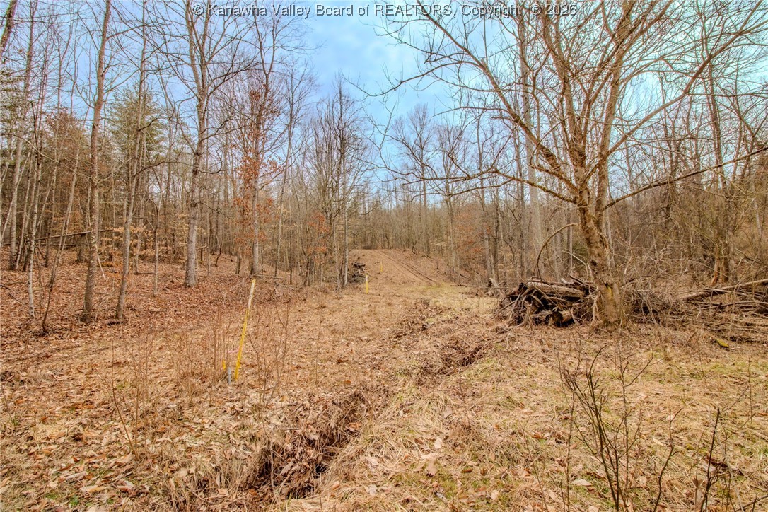 0 Evansview Road Evans, WV 25241 - Photo 17 of 41 Gallery Image 17