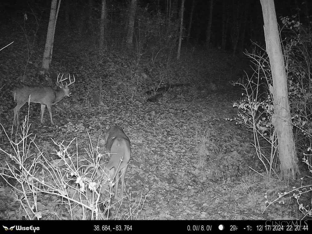 5534 State Rte 7 South Gallipolis, OH 45631 - Photo 67 of 75 Gallery Image 67