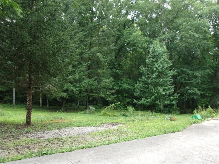 4010 Bee Creek Road Corbin, KY 40701 - Photo 3 of 11 Photo 3