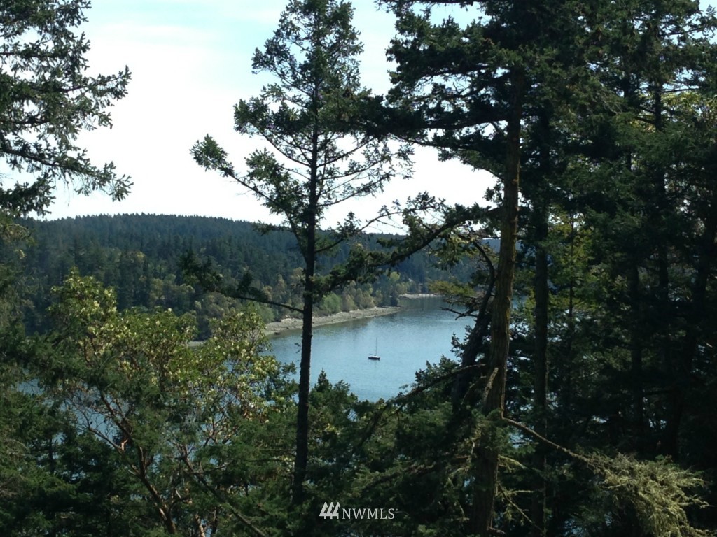 161 Vue Du Port Road Orcas Island, WA 98243 - Photo 1 of 12 Gallery Image 1