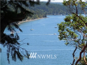 161 Vue Du Port Road Orcas Island, WA 98243 - Photo 2 of 12 Gallery Image 2