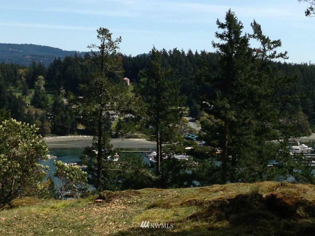 161 Vue Du Port Road Orcas Island, WA 98243 - Photo 12 of 12 Gallery Image 12