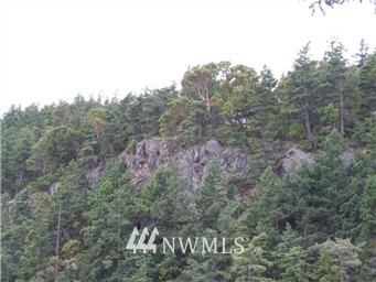 161 Vue Du Port Road Orcas Island, WA 98243 - Photo 3 of 12 Gallery Image 3