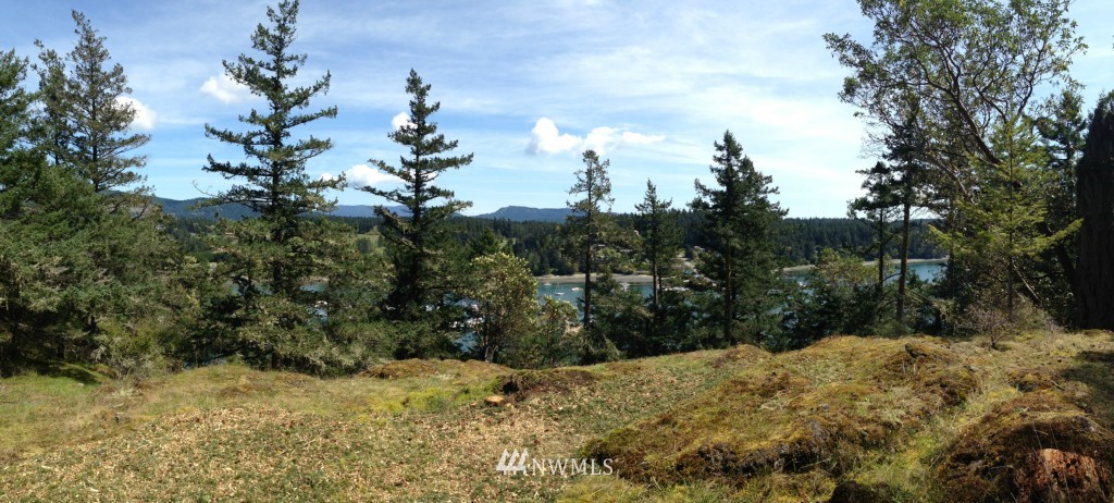 161 Vue Du Port Road Orcas Island, WA 98243 - Photo 4 of 12 Gallery Image 4