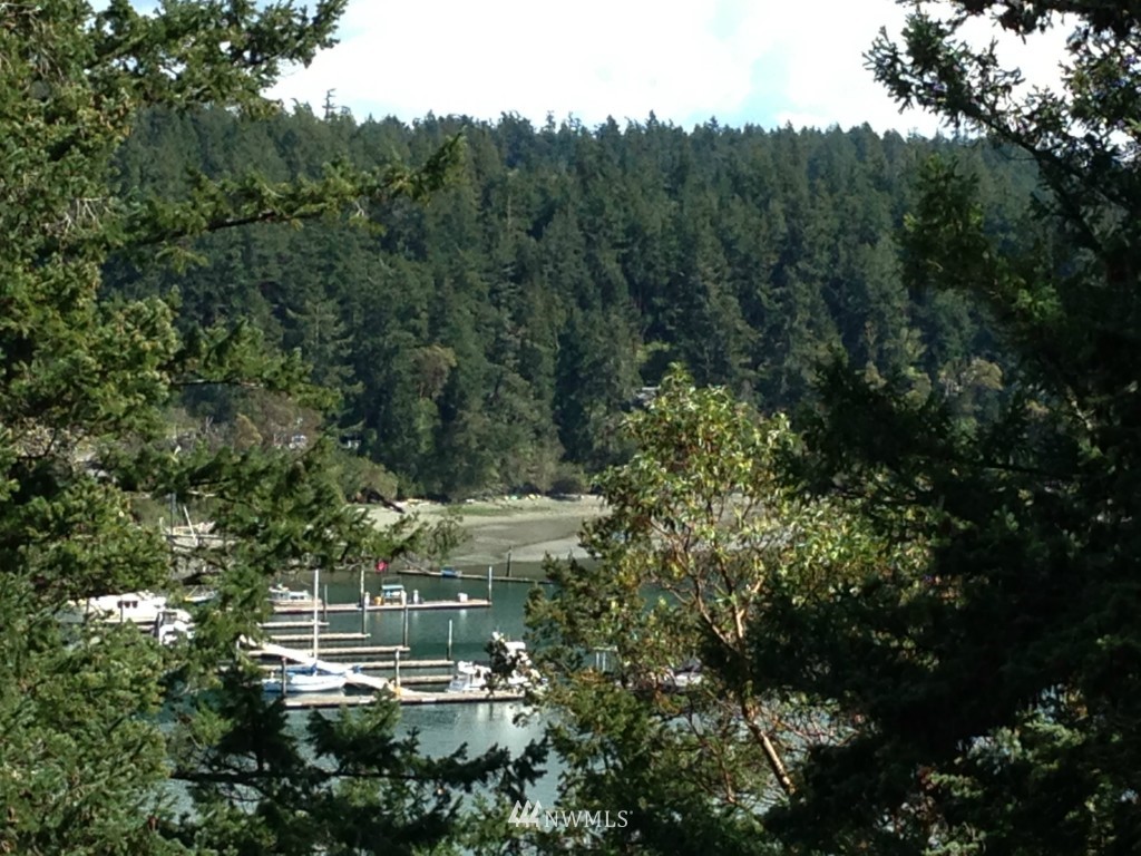 161 Vue Du Port Road Orcas Island, WA 98243 - Photo 5 of 12 Gallery Image 5