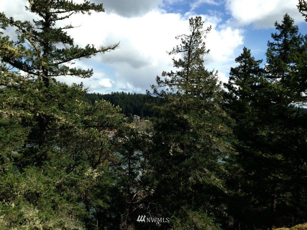161 Vue Du Port Road Orcas Island, WA 98243 - Photo 8 of 12 Gallery Image 8