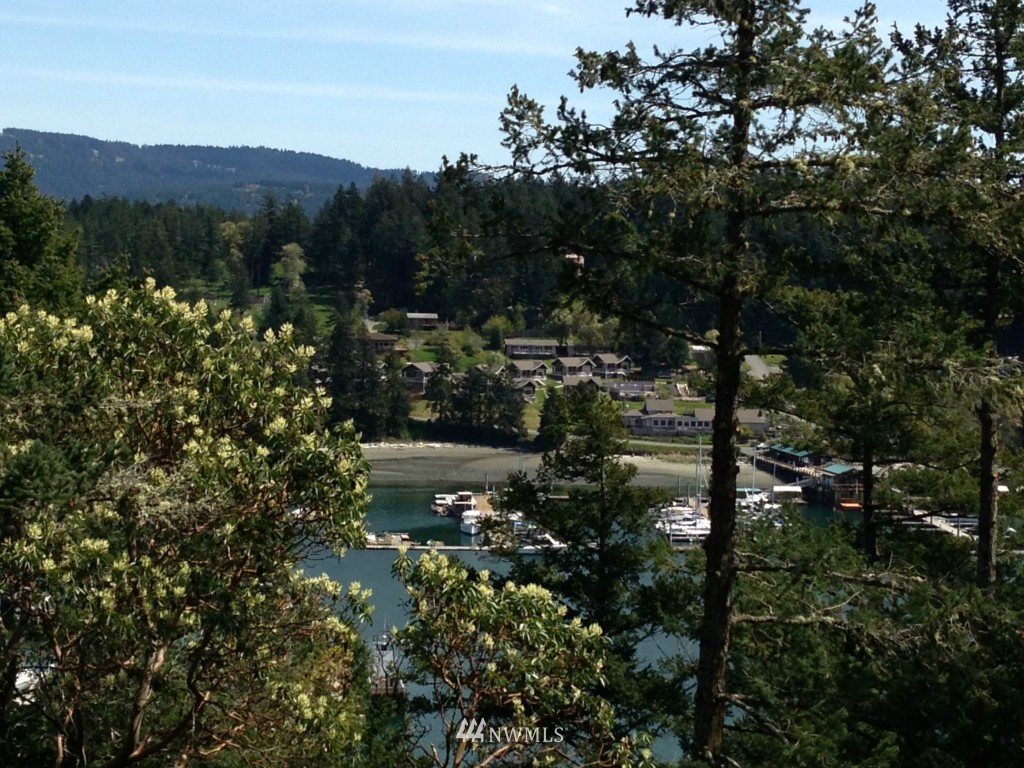 161 Vue Du Port Road Orcas Island, WA 98243 - Photo 10 of 12 Gallery Image 10