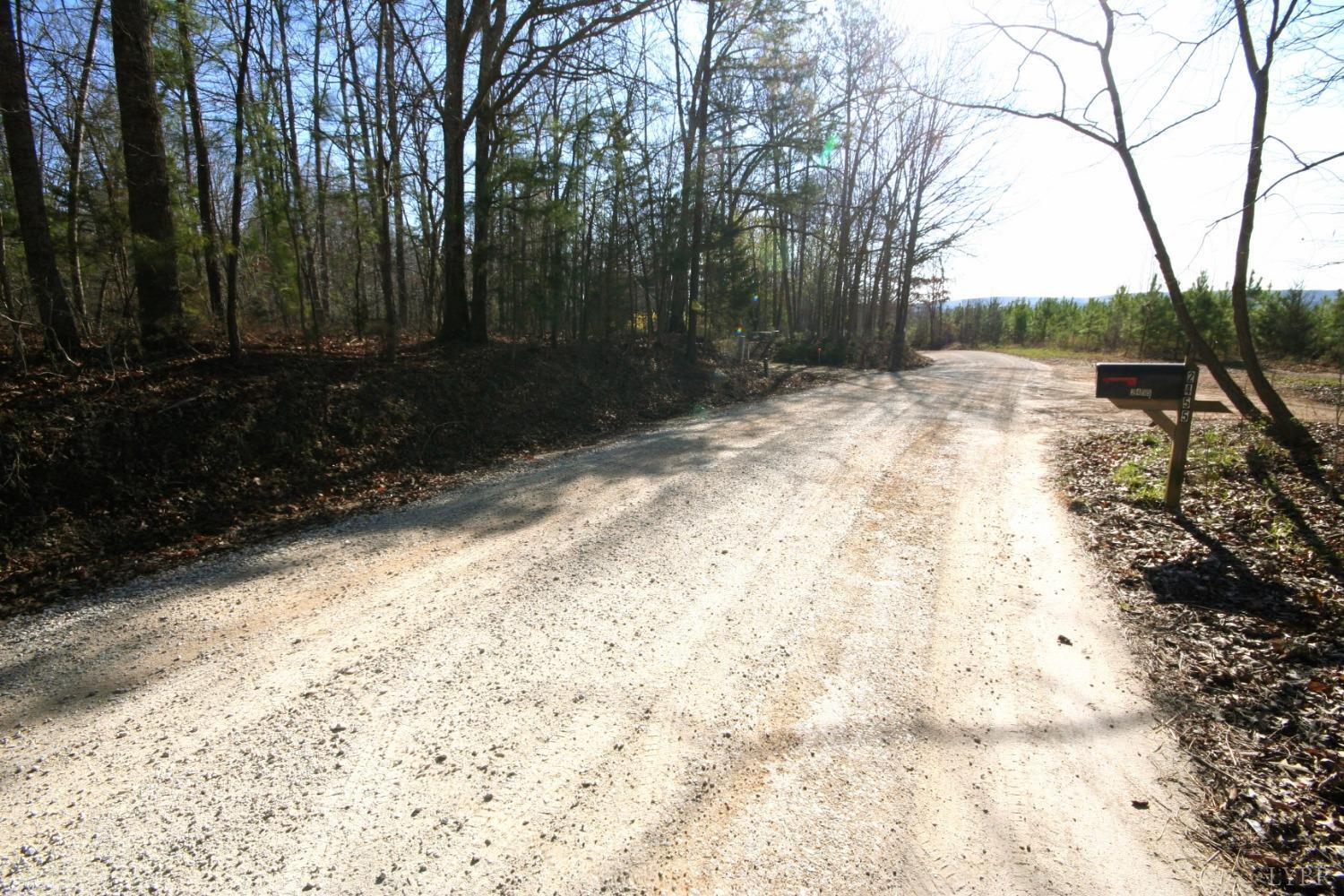 0 Grandmas Hill Road Amherst, VA 24521 - Photo 3 of 19