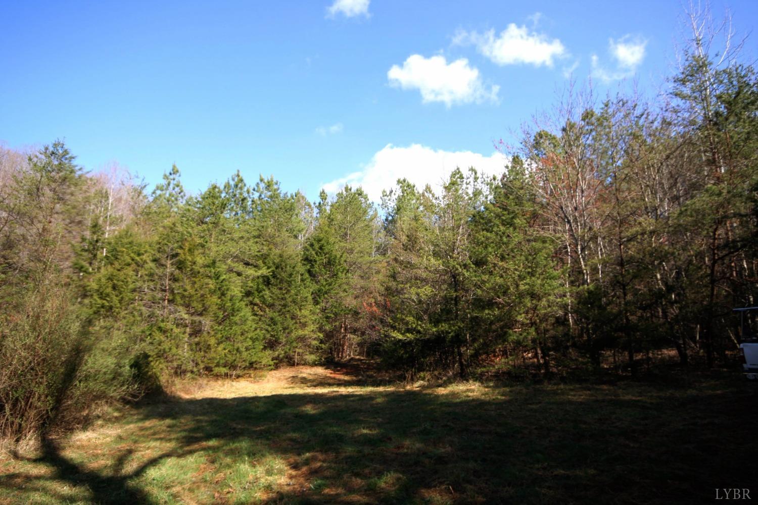 0 Grandmas Hill Road Amherst, VA 24521 - Photo 6 of 19