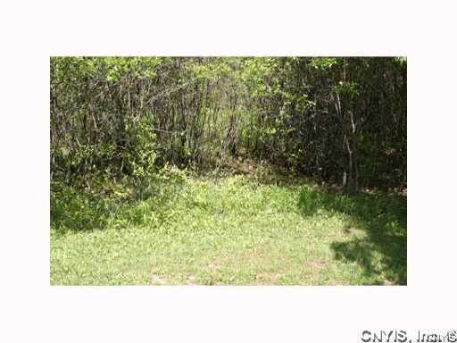 0 Split Rock Road Camillus, NY 13031 - Photo 2 of 10 Other