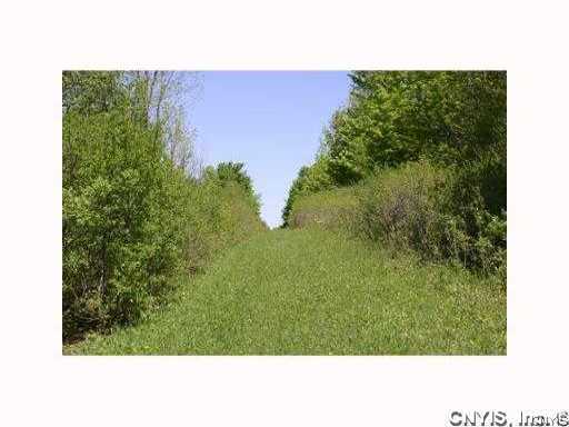 0 Split Rock Road Camillus, NY 13031 - Photo 4 of 10 Other