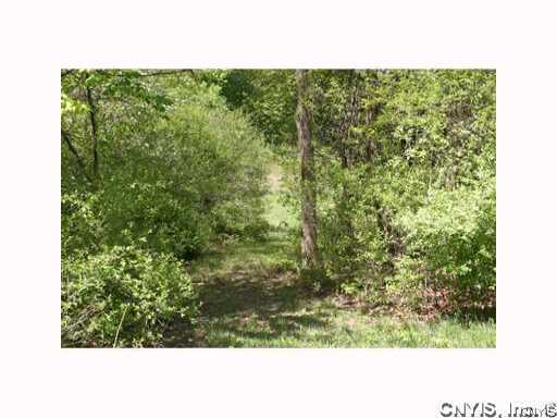 0 Split Rock Road Camillus, NY 13031 - Photo 5 of 10 Other