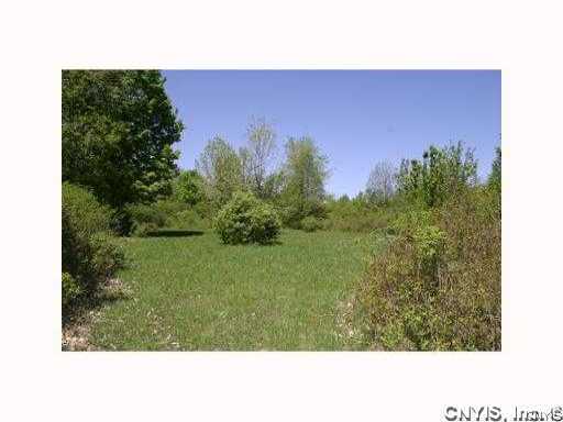 0 Split Rock Road Camillus, NY 13031 - Photo 6 of 10 Other