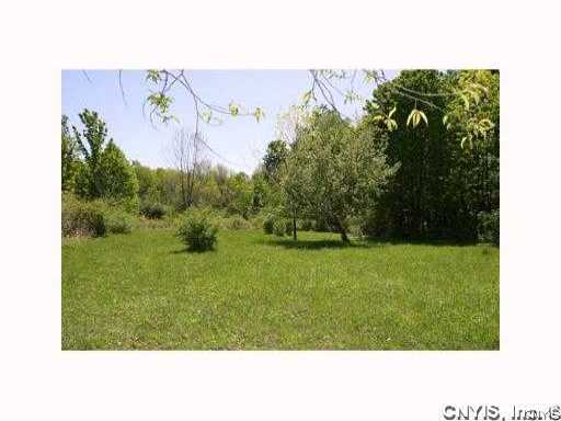 0 Split Rock Road Camillus, NY 13031 - Photo 7 of 10 Other