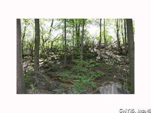 0 Split Rock Road Camillus, NY 13031 - Photo 8 of 10 Other