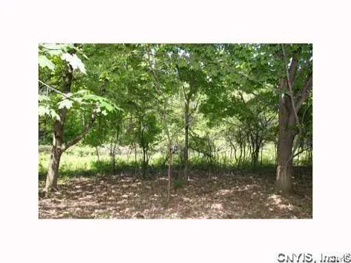 $699,000 | 0 Split Rock Road, Camillus, NY 13031