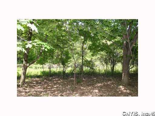 0 Split Rock Road Camillus, NY 13031 - Photo 9 of 10 Other