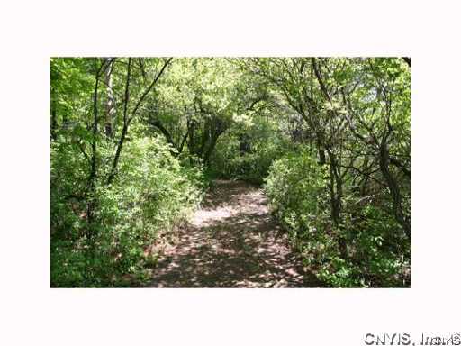 0 Split Rock Road Camillus, NY 13031 - Photo 10 of 10 Other