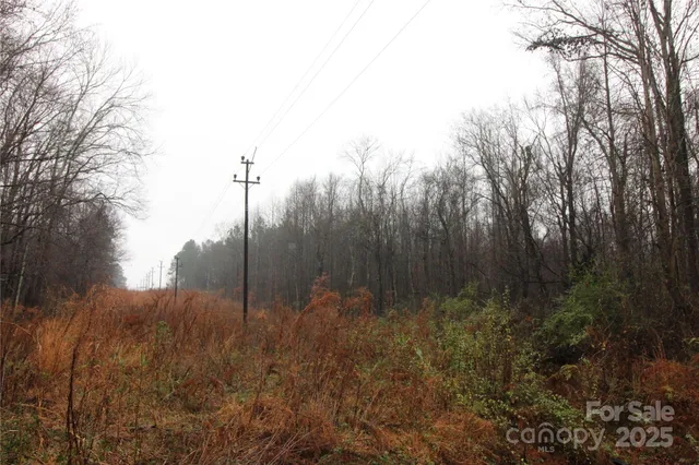 $80,000 | 4-ac Lot 4 4-ac Road, Bessemer City, NC 28016