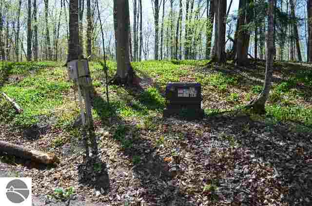 12222 East Tatch Road Northport, MI 49670 - Photo 2 of 12 1745140-1.JPG