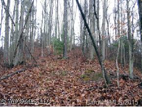 9999 Meadows Town Road Marshall, NC 28753 - Photo 1 of 5 Gallery Image 1